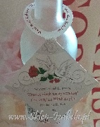 <b>Zawieszki na alkohol</b> WBE - 0167